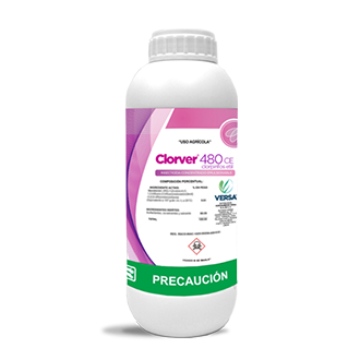 Insecticidas | Clorver - Versa